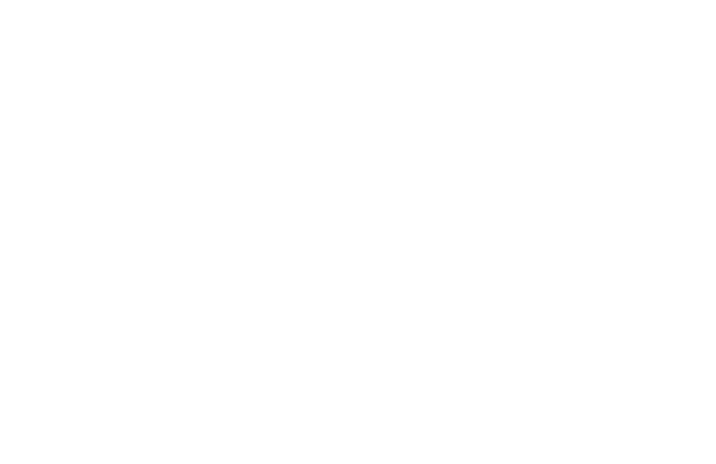 MEISTER reality logo